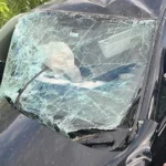 Adıyaman Gölbaşı karayolunda meydana gelen trafik kazasında yaralılar hastaneye kaldırılıyor