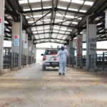 Osmangazi Belediyesi kurban pazarlarını ilaçlayıp dezenfekte etti