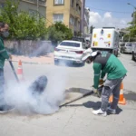 Mersin Büyükşehir Belediyesi ekipleri Kurban Bayramı sonrası kesim alanlarında hijyen ve ilaçlama çalışması yapıyor.