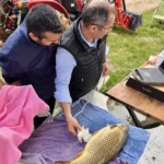 Milyonlarca yavru balık doğal sularla buluşuyor, su kaynakları güçlendiriliyor