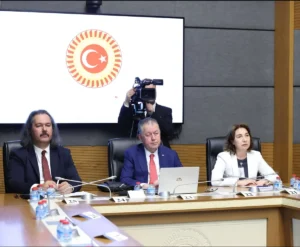 Prof. Dr. Selman Tunay Kamer'in TBMM'de çocukların dijital güvenliği üzerine yaptığı sunumdan bir kesit
