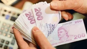 IPARD hibe programı kapsamında kırsal girişimcilere sağlanan destekleri gösteren görsel