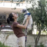 Mersin'de 'Yaşamı Sahiplen' kampanyasıyla yuva bulan köpekler
