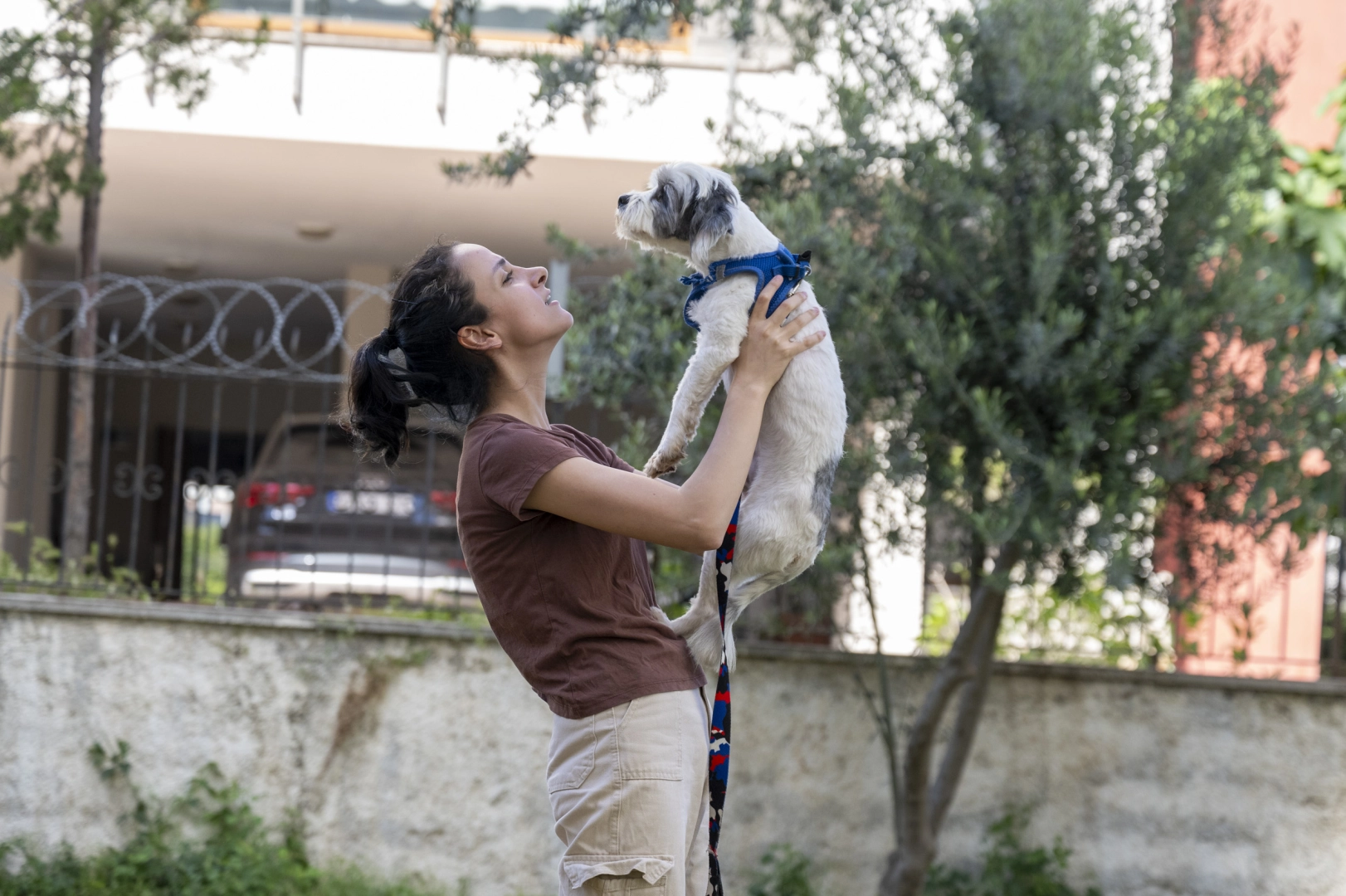 Mersin'de 'Yaşamı Sahiplen' kampanyasıyla yuva bulan köpekler