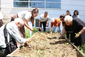 Nilüfer'de huzurevi sakinleri fide dikerken