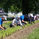 Osmangazi ilçesinde yazlık çiçek dikim çalışmaları