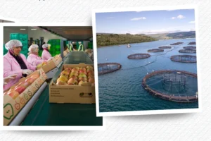 IPARD III programı kapsamında tarım sektörüne 30 milyon avroluk yeni destek çağrısı