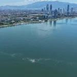 İzmir Körfezi'nde 14. kez kirlilik tespiti yapıldı, durumun sistematikleştiği belirtildi.