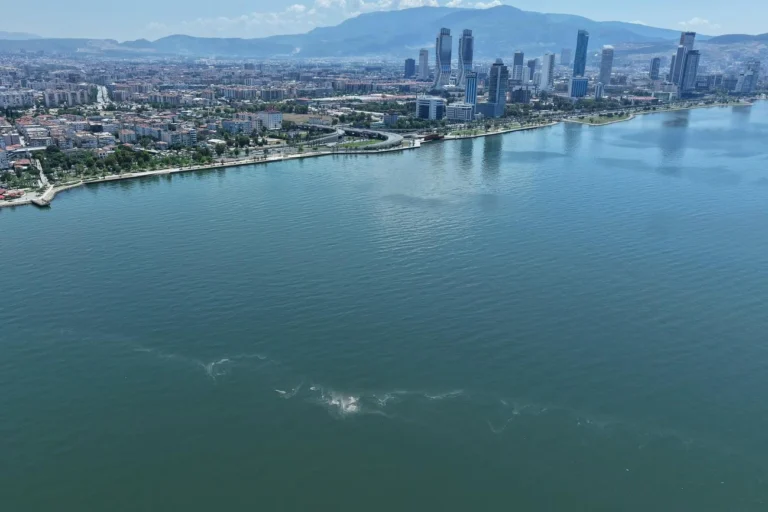 İzmir Körfezi'nde 14. kez kirlilik tespiti yapıldı, durumun sistematikleştiği belirtildi.