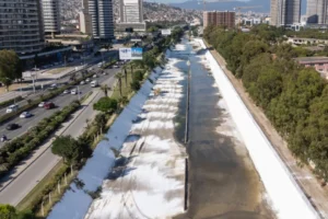 İzmir Büyükşehir Belediyesi ekipleri Meles Deresi'nde temizlik çalışması yapıyor