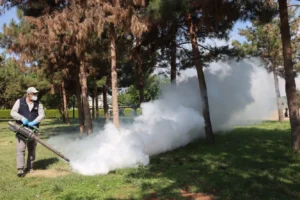 Şanlıurfa Büyükşehir Belediyesi ekipleri, sivrisinek ve haşerelere karşı ilaçlama çalışması yapıyor.