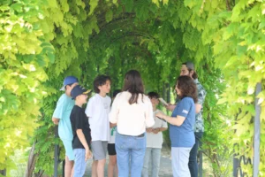 Osmangazi Belediyesi'nin Çevre Haftası kapsamında düzenlediği doğa kardeşliği bitki ve ağaç tanıma atölyesi.