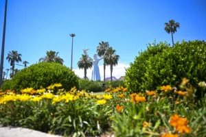 Mersin'de yaz dönemi için yapılan rengarenk çiçek dikimleri ve peyzaj düzenlemeleri