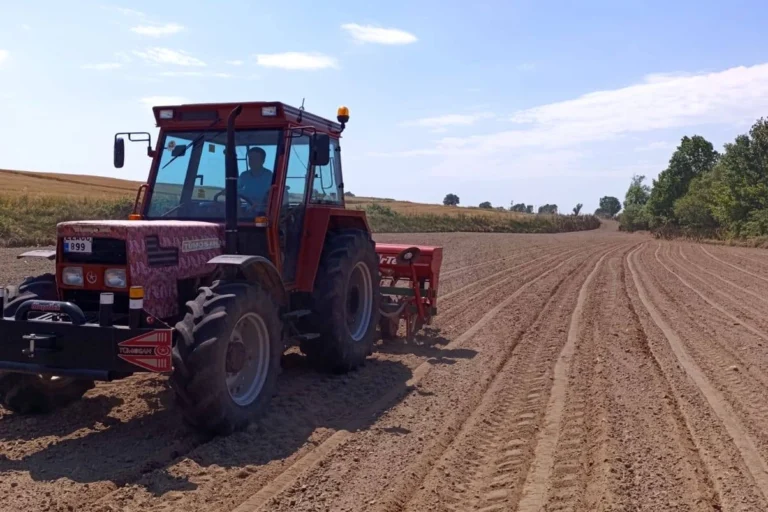 Edirne Sultanköy'de yeni kavun sezonu için ilk tohumlar toprakla buluştu