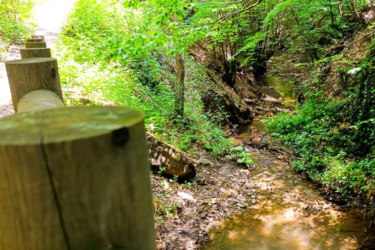 Küçükelmalı Tabiat Parkı'nın doğal güzellikleri ve huzurlu atmosferi