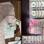 İzmir merkezli FETÖ operasyonunda gözaltına alınan şüpheliler