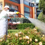 Karatay Belediyesi ekipleri, sinek ve haşerelerle mücadele için ilaçlama yapıyor.