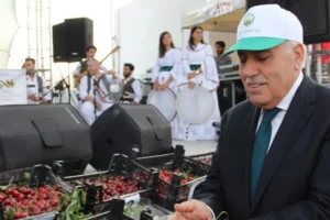 Mardin Yeşilli 18. Kültür Sanat ve Kiraz Festivali'nin ilk gününe davet