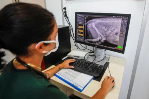 İzmir'de sokak hayvanları için kurulan merkezi sterilizasyon ünitesi, hayvan sağlığında enfeksiyon riskini azaltıyor.