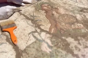 Aspendos Antik Kenti'nde bulunan Eurymedon Nehri mozaiği