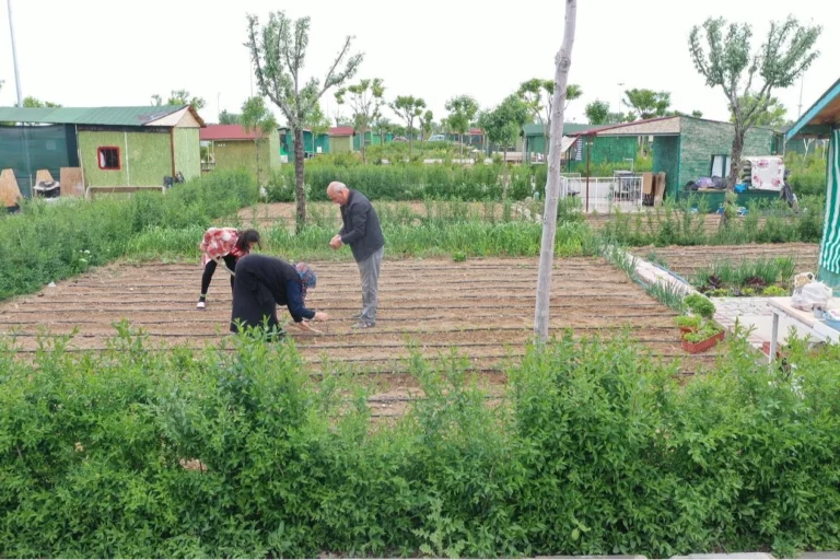Tarım arazileri üzerine kurulan hobi bahçelerine hizmet bağlanması yasaklandı