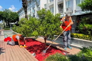 Antalya Büyükşehir Belediyesi ekipleri Kemer Liman Caddesi'nde bakım ve yenileme çalışması yapıyor
