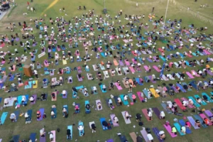İzmir Yoga Festivali'nde Kültürpark'ın yeşil alanında yoga yapan insanlar