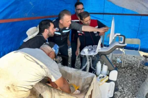 Mersin balıklarında ultrasonografi ile erken cinsiyet tespiti eğitimi