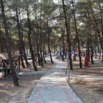 Bursa ormanlarına giriş yasağı ve orman yangını riskine karşı alınan önlemler