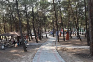 Bursa ormanlarına giriş yasağı ve orman yangını riskine karşı alınan önlemler