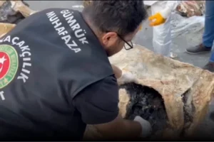 Gümrük Muhafaza ekiplerinin uyuşturucu kaçakçılığına karşı yürüttüğü operasyonlar ve ele geçirilen uyuşturucu miktarı