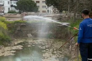 İzmir Büyükşehir Belediyesi ekipleri, drone ve amfibik araçlar kullanarak sivrisinek ve vektörle mücadele ediyor.