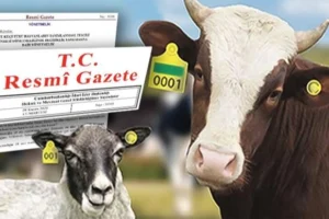Hayvan kimliklendirme sisteminde karekod uygulaması ve il kodlu küpe süresinin uzatılması
