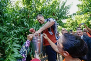 İzmir Selçuk'ta düzenlenen Şen Şeftali Şenliği'nde üreticiler ve vatandaşlar bir araya geldi, Başkan Tugay üreticilere destek verdi.