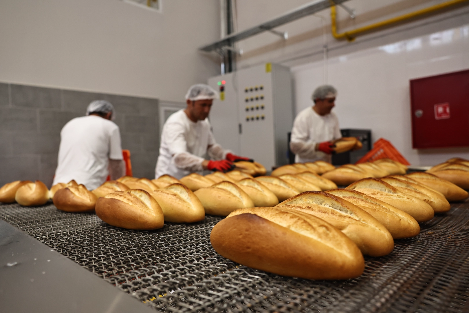 Antalya Halk Ekmek Fabrikası'nda üretilen ekmekler