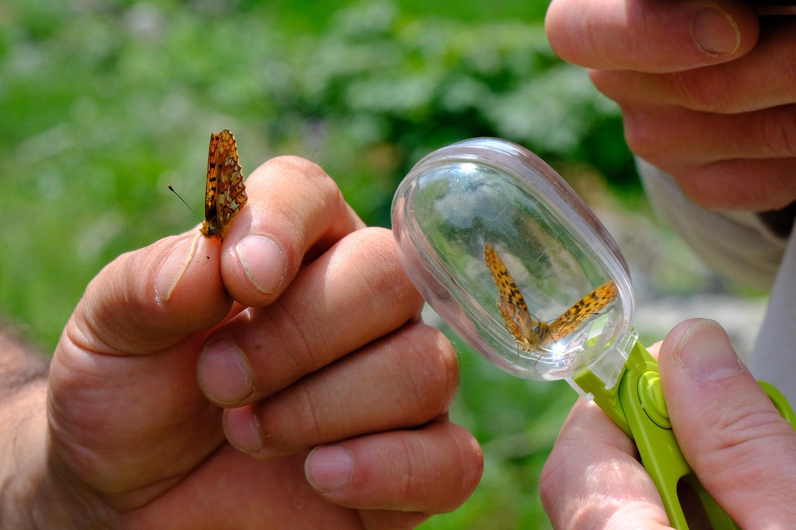 Kuzuyayla'da doğa gözlemi ve biyoçeşitlilik etkinliği