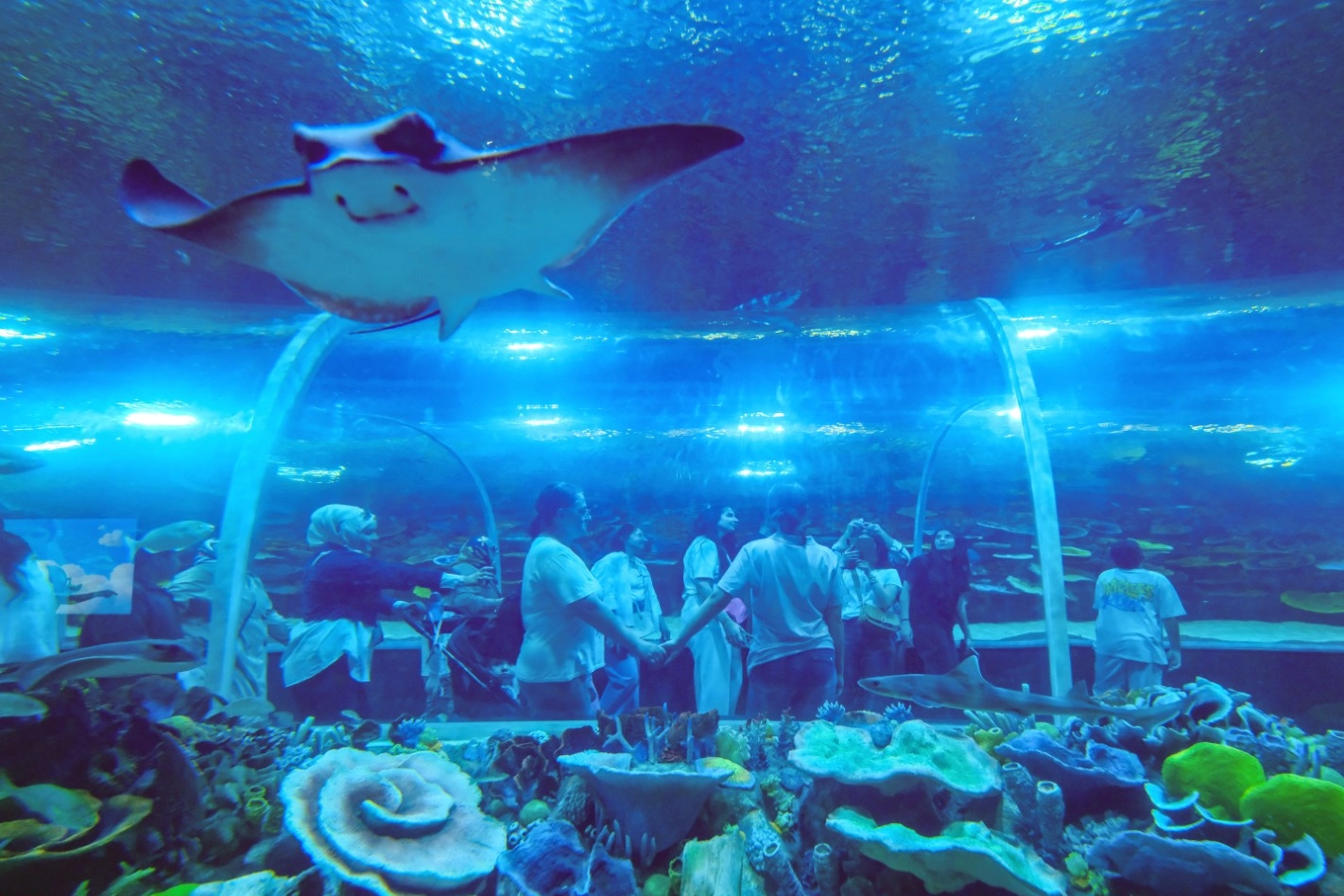 Kocaeli Körfez Aqua Kıtalar Akvaryumu'nun dış cephesi ve giriş alanı