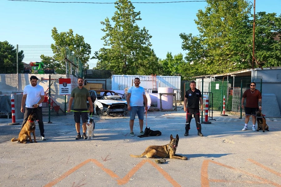 Maltepe Belediyesi'nin arama kurtarma köpekleri eğitim parkurunda çalışma yaparken