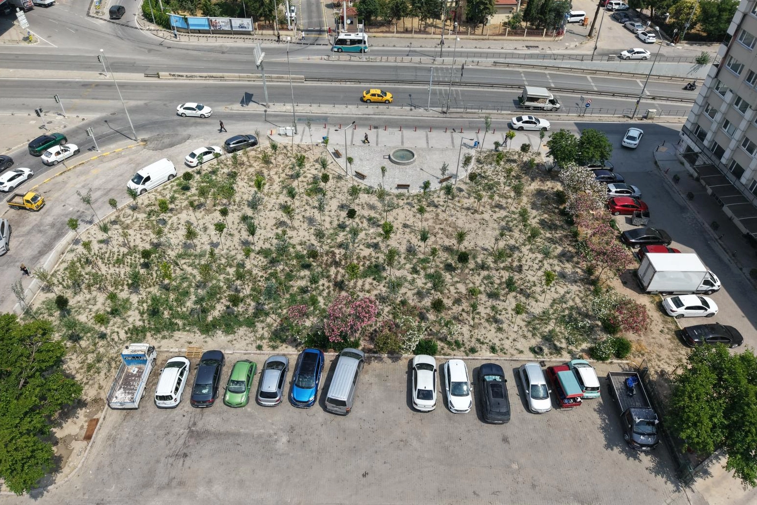 İzmir'de eski benzinlik alanının mikro ormana dönüştürülmüş hali