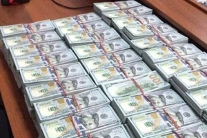Yurt dışındaki varlıkların Türkiye'ye transferini kolaylaştıran varlık barışı düzenlemesi Resmi Gazete'de yayımlandı.