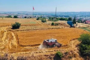 İklim değişikliğinin tarım üzerindeki olumsuz etkileri ve sürdürülebilirlik çözümleri