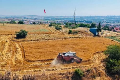 İklim değişikliğinin tarım üzerindeki olumsuz etkileri ve sürdürülebilirlik çözümleri