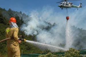 Bursa'da rüzgarın etkisiyle artan orman yangını riskine karşı yapılan uyarı