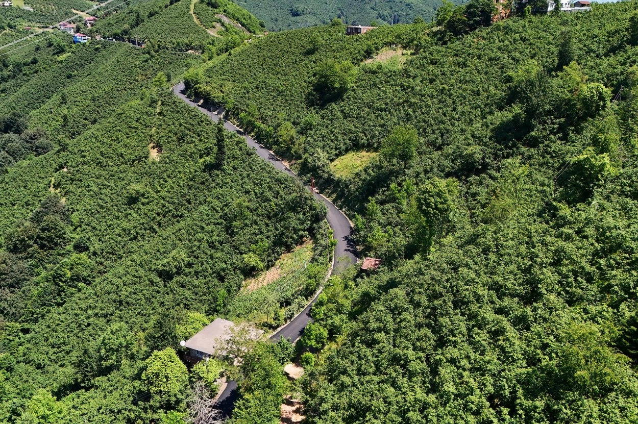 Ordu Ulubey'de tamamlanan sıcak asfalt çalışmasıyla modernize edilen grup yolu