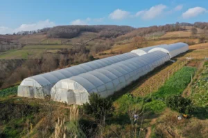 Kocaeli'de tarımı geleceğe taşıyan projeler ve yatırımlar