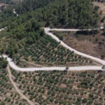 Mersin Büyükşehir Belediyesi ekipleri Silifke'de stabilize bir yolu asfaltlıyor