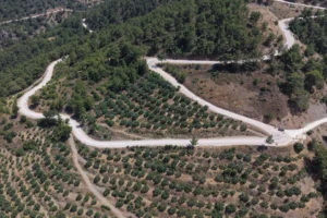 Mersin Büyükşehir Belediyesi ekipleri Silifke'de stabilize bir yolu asfaltlıyor