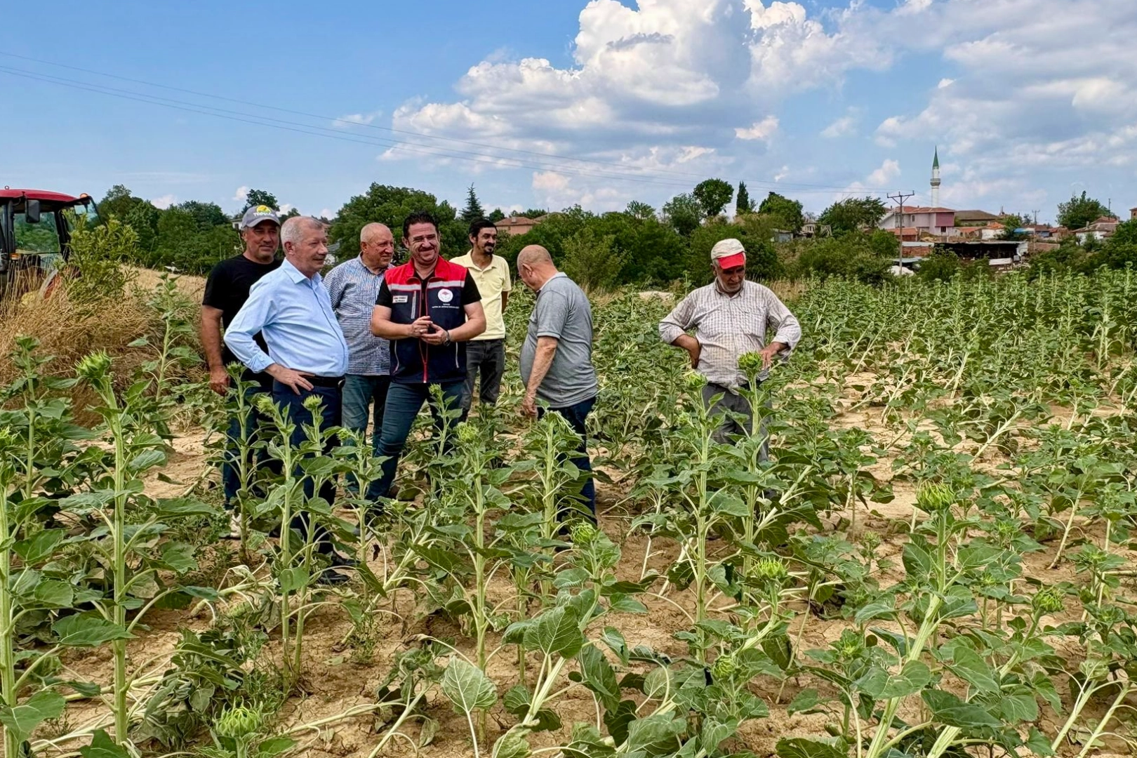 Edirne Keşan'da fırtına sonrası tarım arazilerinde hasar tespiti yapılıyor