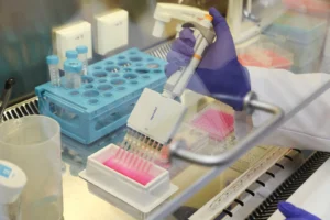 Bursa Teknik Üniversitesi tarafından diyabet hastaları için geliştirilen arı sütü bazlı yara tedavi ürünü.