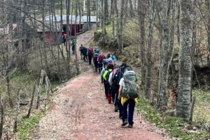 AKUT Arama Kurtarma Derneği'nin doğa yürüyüşü yapanlar için hazırladığı güvenli trekking rehberi ve 5 altın kuralı